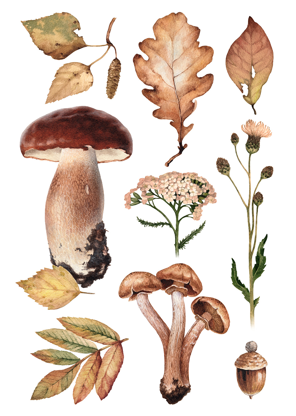 watercolor design pattern seamless mushroom autumn print Hand Painted COTTEGECORE fungus