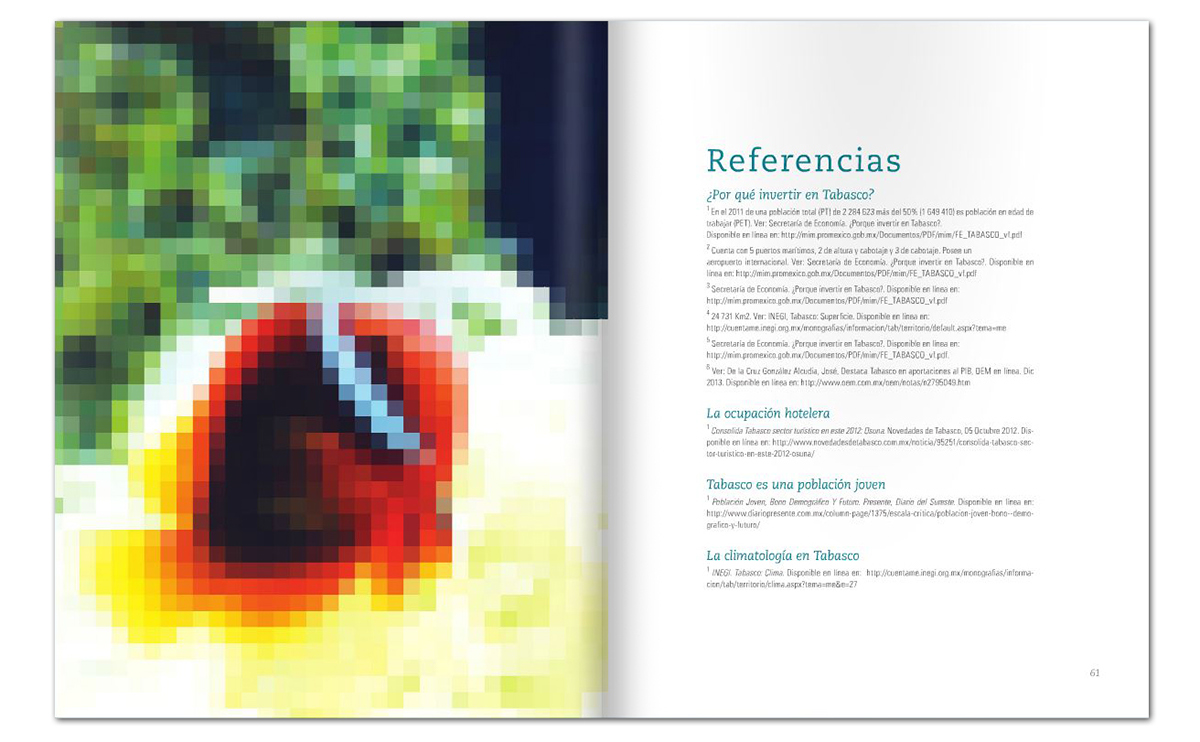 arquitectura diseño gráfico Cover Book Portada mexico villahermosa brochure