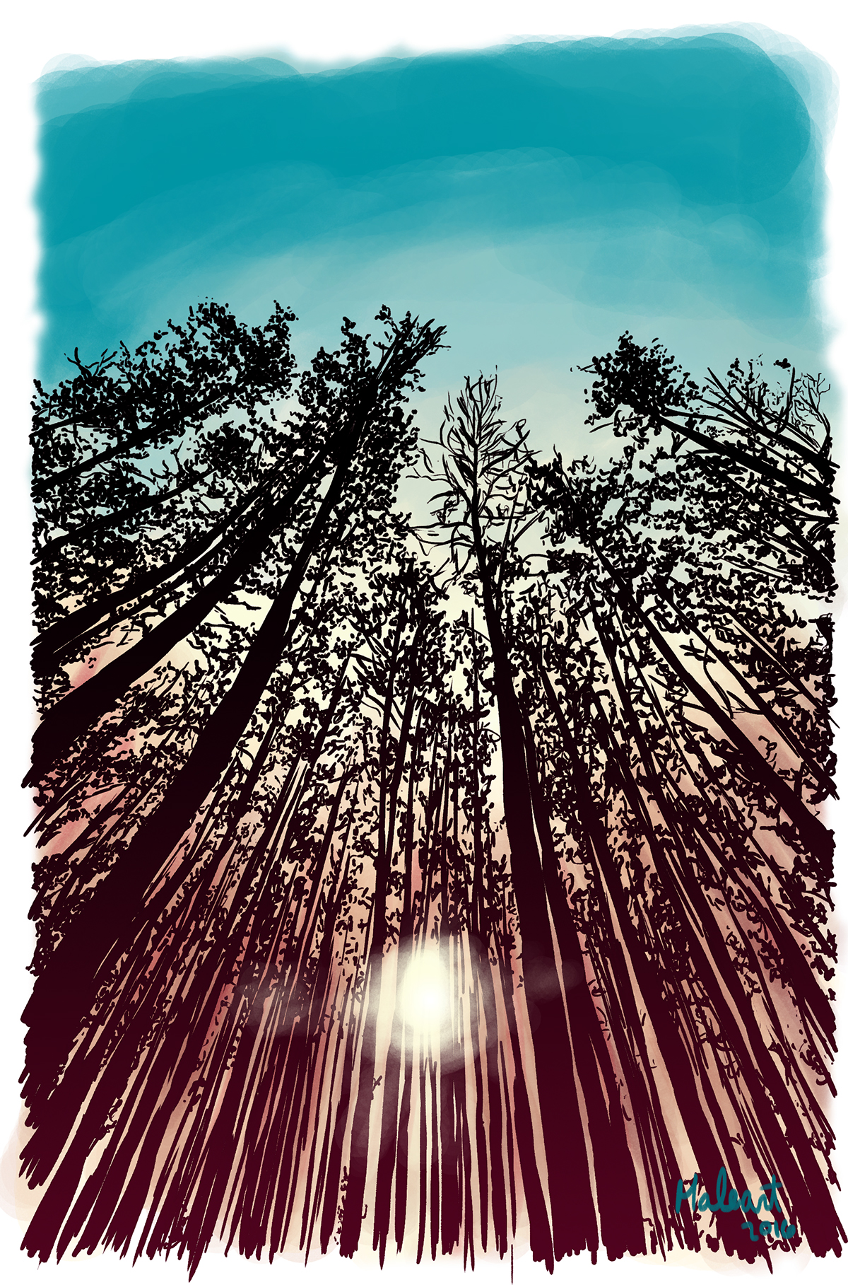 background sketch digital photoshop contrast trees environment Nature sunset calid warm