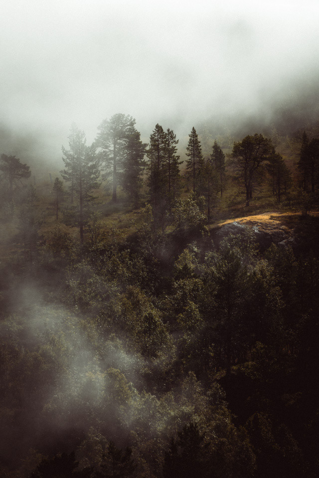 Landscape forest mountains autumn Fall fog clouds Moody norway waterfall