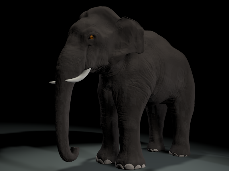 elephant  3d  Maya  cinema4d after effects motion futuristic animal