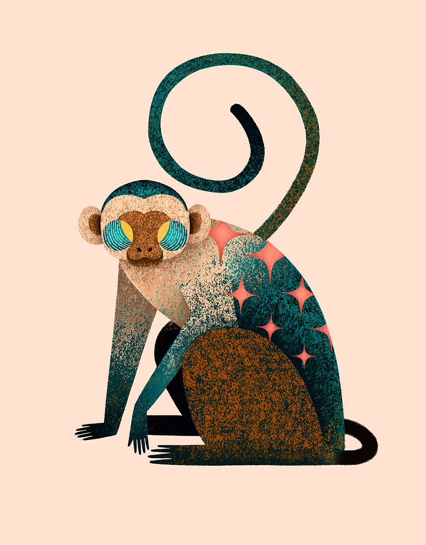 El Salvador ILLUSTRATION  Character design  animals art draw bat cow Nature monkey