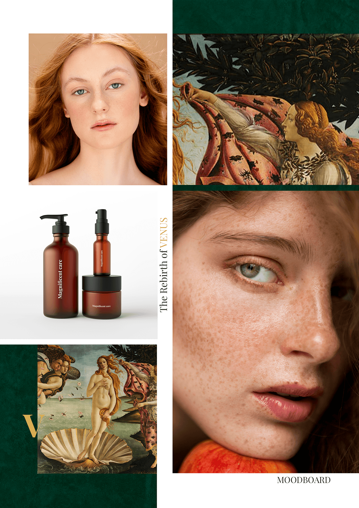skincare beauty art campaign brand design brand identity marketing   Socialmedia visual identity