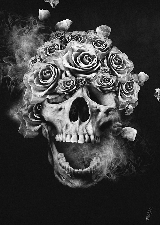 skull rose Roses sulls noxbil freestyle black & white