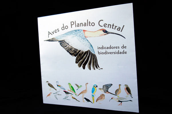 folder cerrado aves do cerrado brasilia df Brasil
