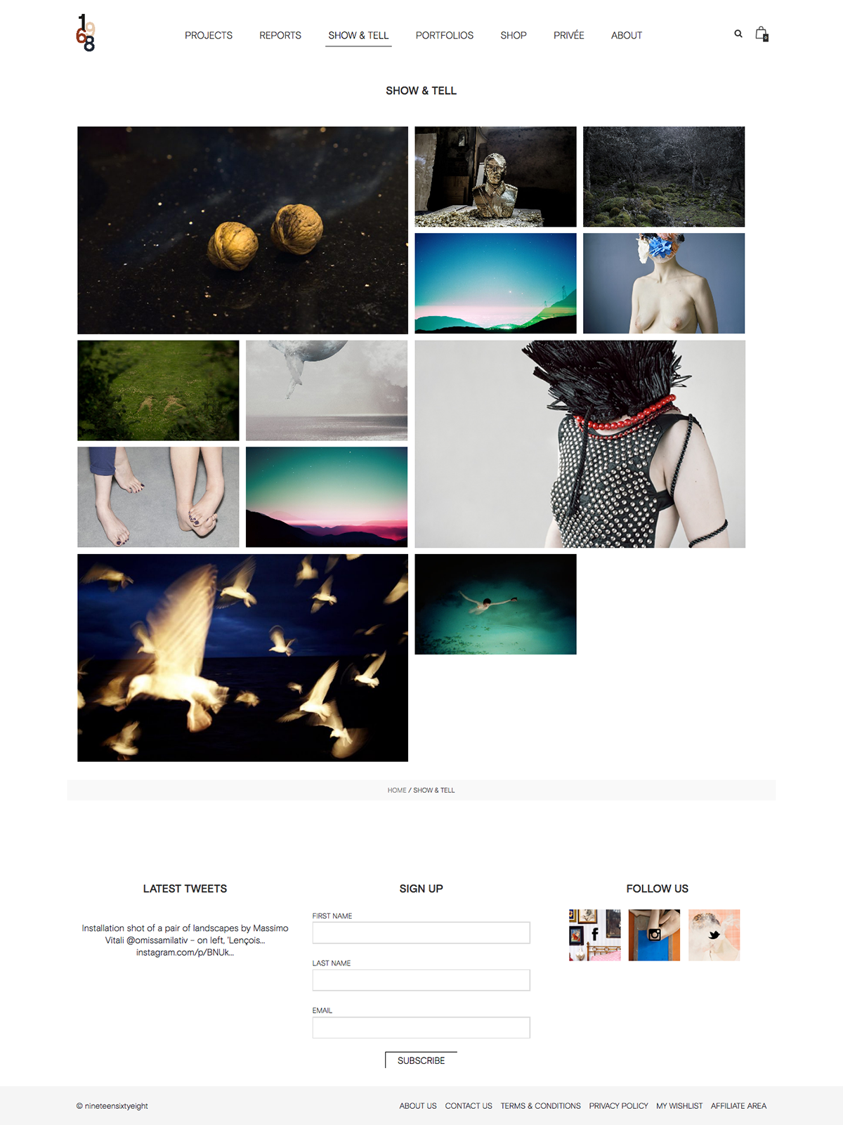 Web Design  Photography  wordpress web layout web development 