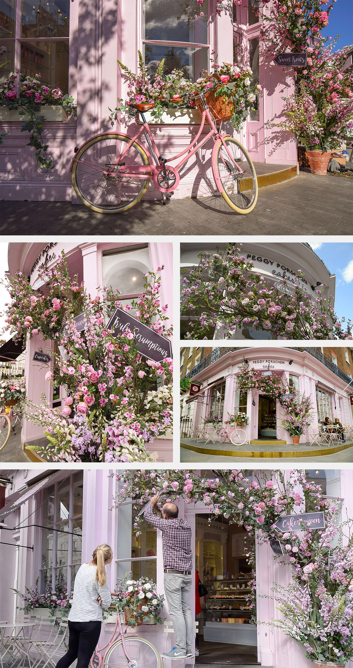 Adobe Portfolio cakes installation Flowers time-lapse west london Roses Film   Photography  florist cafe