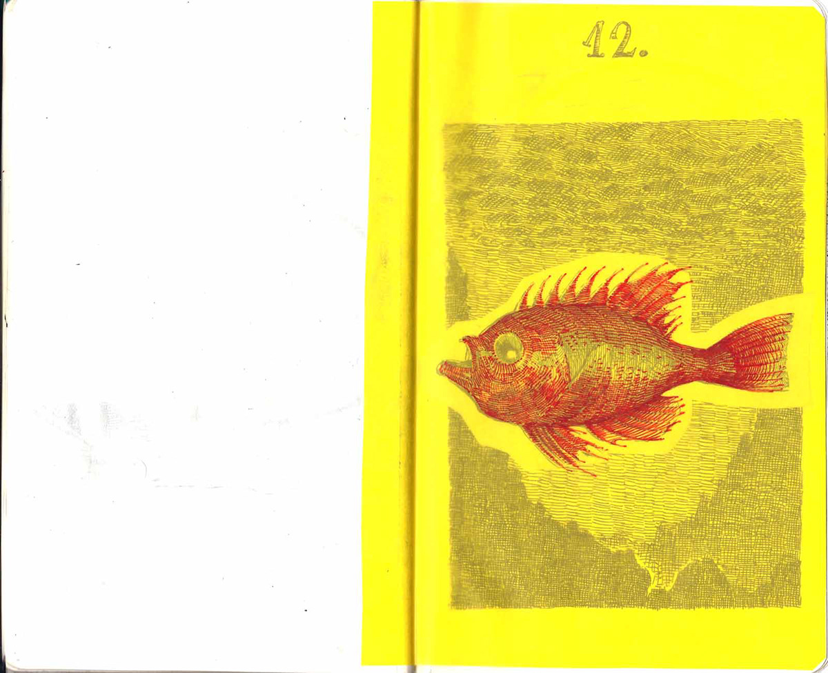 aeroplanes  dirigibles fish book