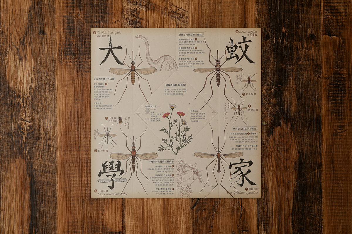 DM Flowers graphic infographic insect mosquito
