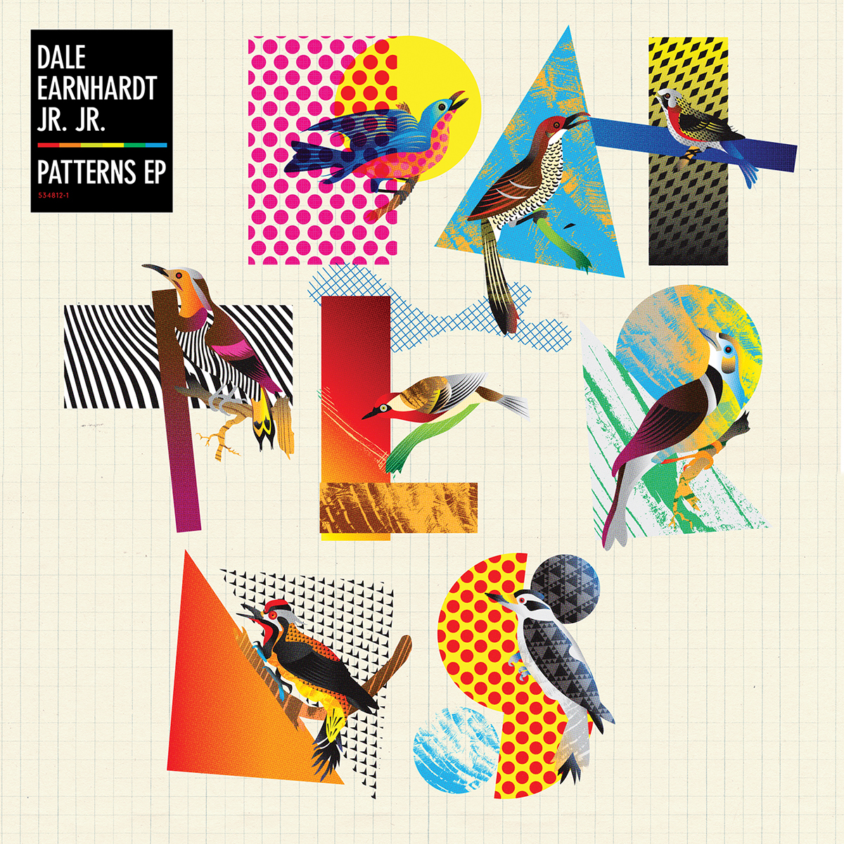 Dale Earnhardt Jr. album cover vinyl LP Music Packaging birds Patterns pattern 80s colorful vinrant energy happy indie indie rock