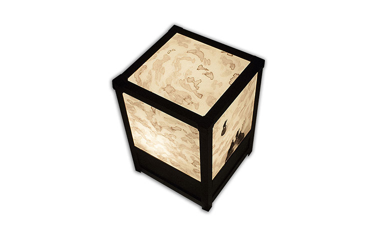Némo Tral Light boxes boites lumineuses STEAMPUNK exposition exhibition objets Paris le 102 cherche-midi