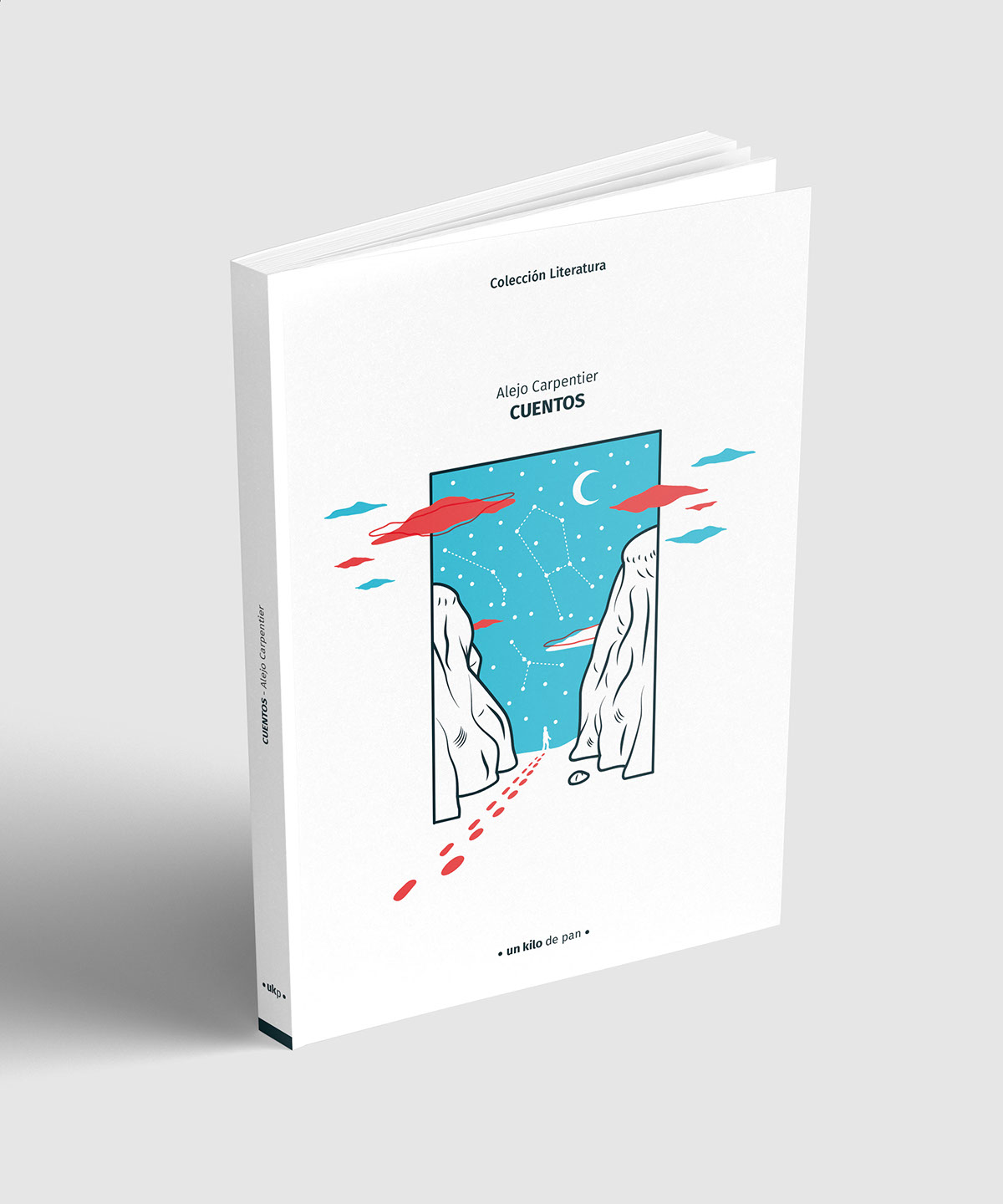 cover book ILLUSTRATION  ilustracion diseño gráfico graphic design  editorial literatura libros libro