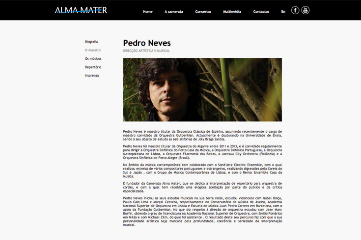 Website chamber orchestra