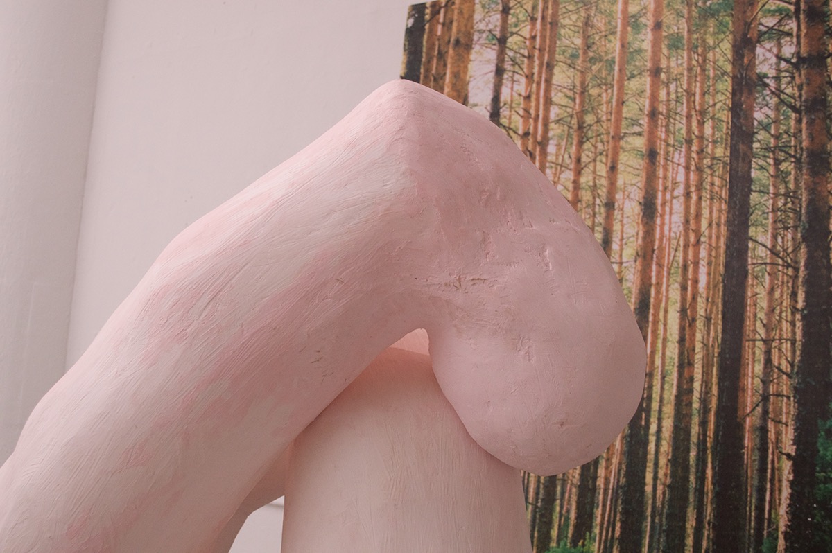 pink plaster sculpture intimacy Love dependance woods Nature balance natural