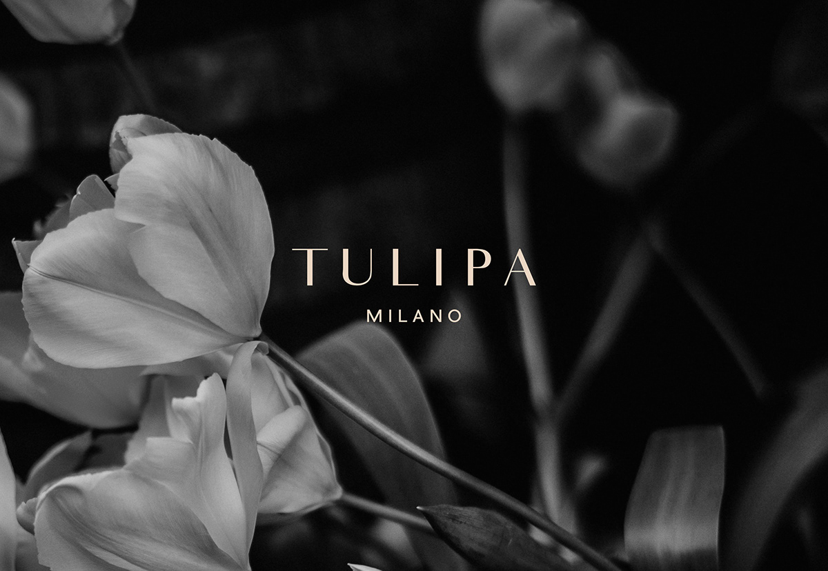 Fashion  stationary tulip flower shadow branding 