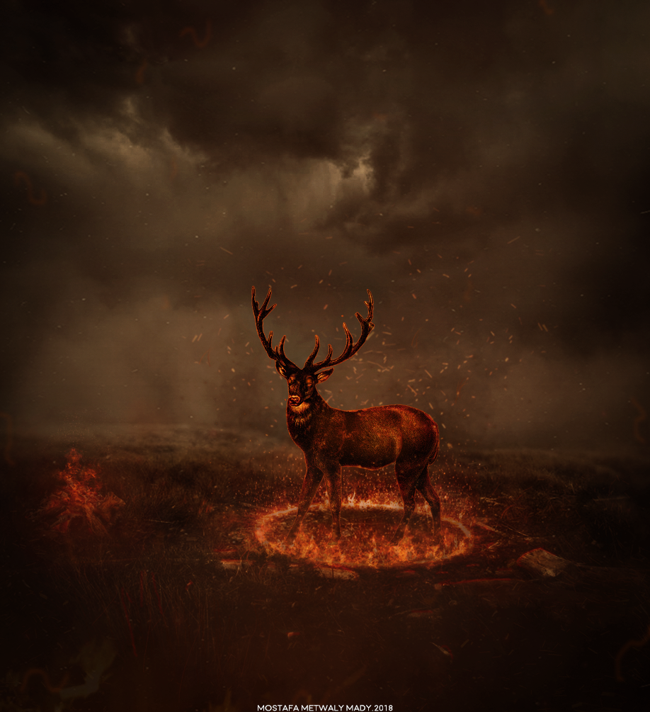 deer Anger angry creative fire animal cheesed off Cheesed off