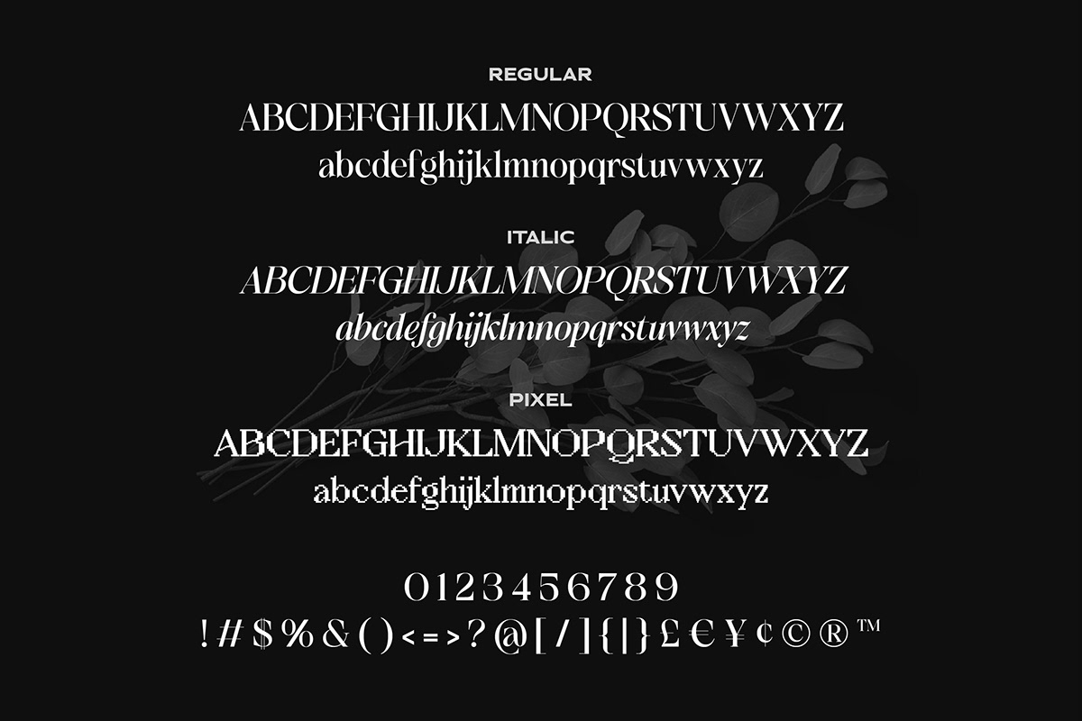 text typography   brand identity design Typeface type font display font type design serif