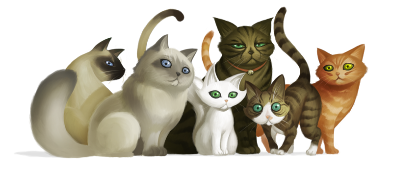 Adobe Portfolio children books cats Cat Chat chats Jeunesse coliandre xavier collette Rozenn Illiano