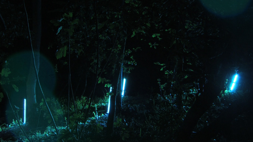 led  installation  electronica forest lights light show light programming LED programming VJ environmental design