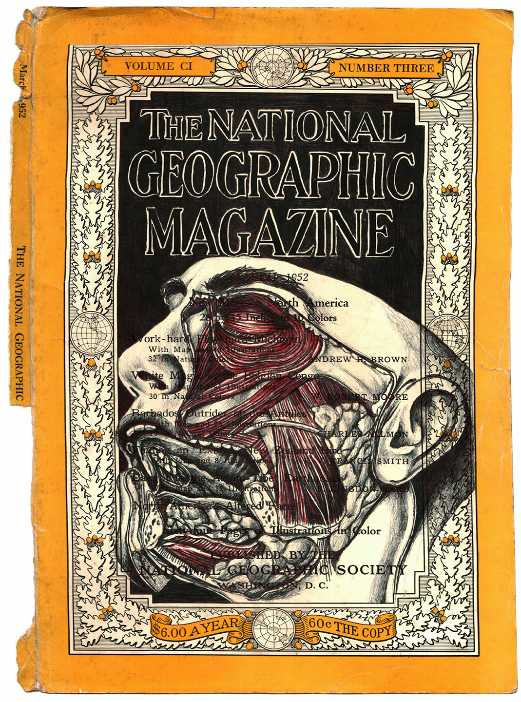 bic biro ballpoint pen art mark powell vintage National Geographic Magazine