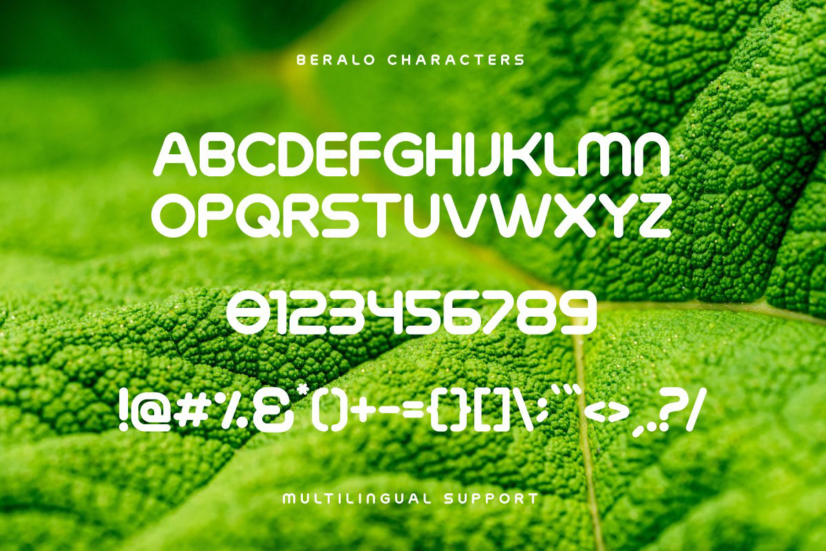Display font logo type font logo Typeface bold handwritten Valentines Day Fonts Butterflies Font Vampire font