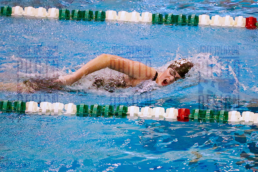 milan swim dive