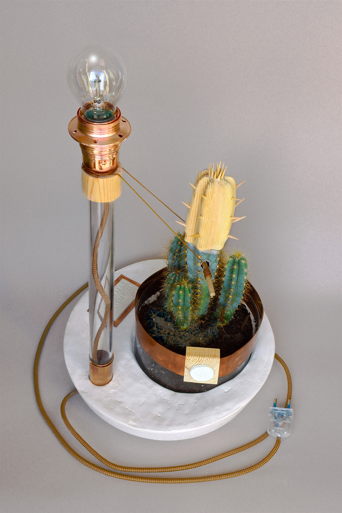 grafting product meter crafts   Succulents Craftmanship Lamp Plant Domestic object Metamorphosis symbiosis living object interaction cactus