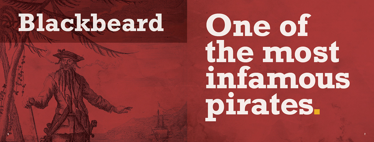 senior book book pirates piracy