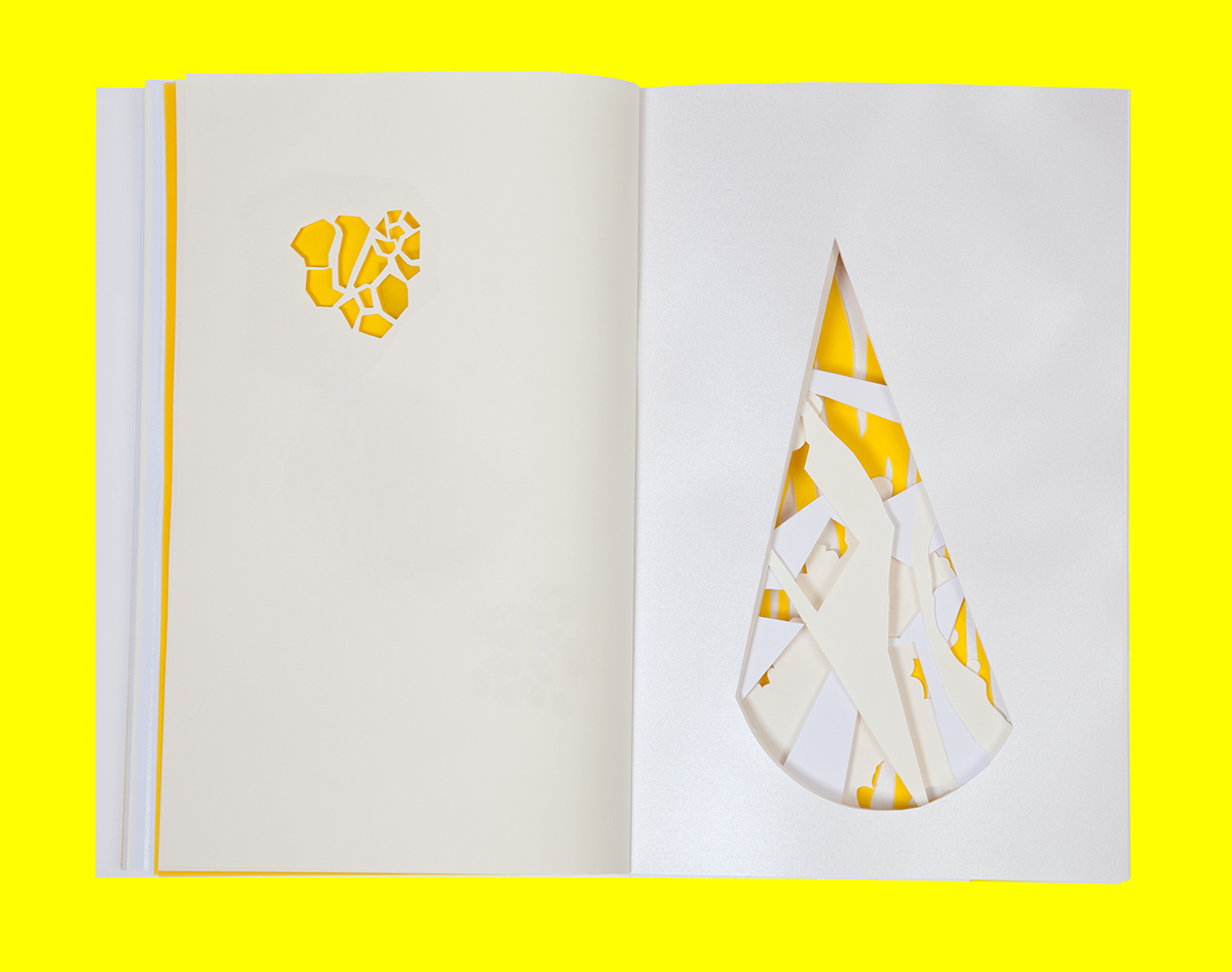 cut out Catalogue yellow Forms layers book