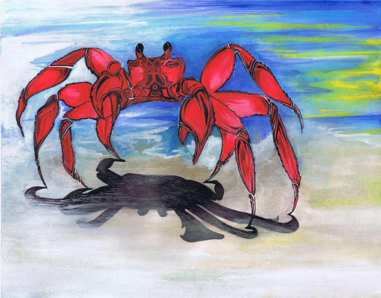 watercolor octopus beach water sea creatures crab colorful