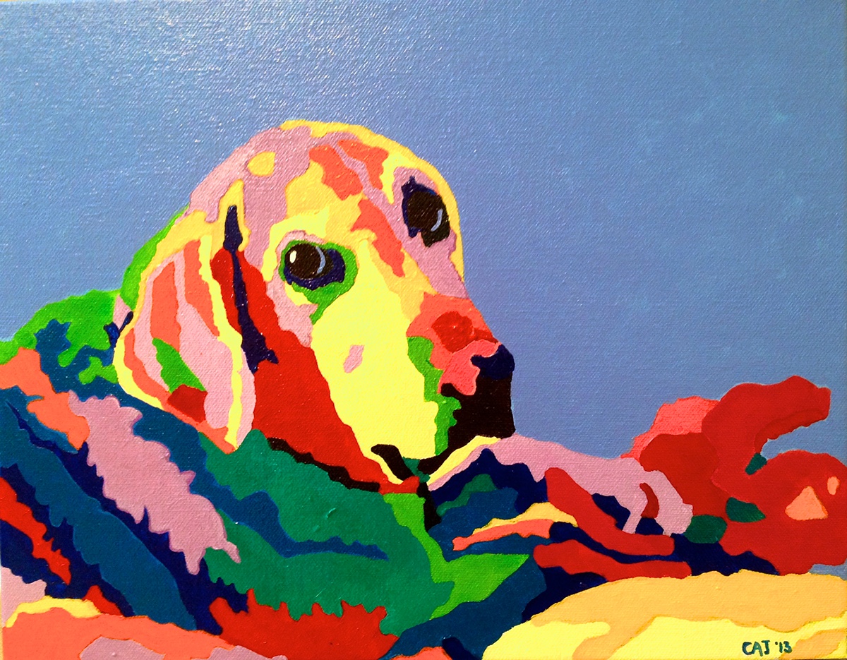 Pet dog color paint