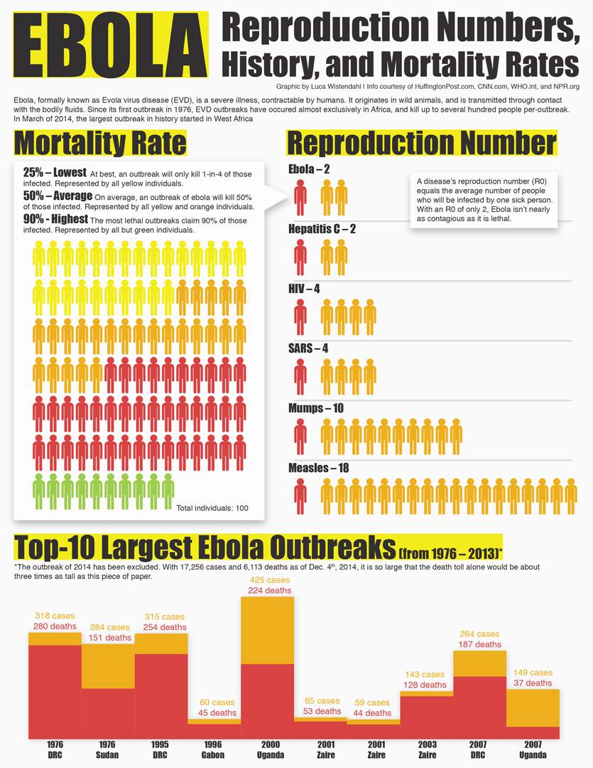 infographic graphic design Health statistics