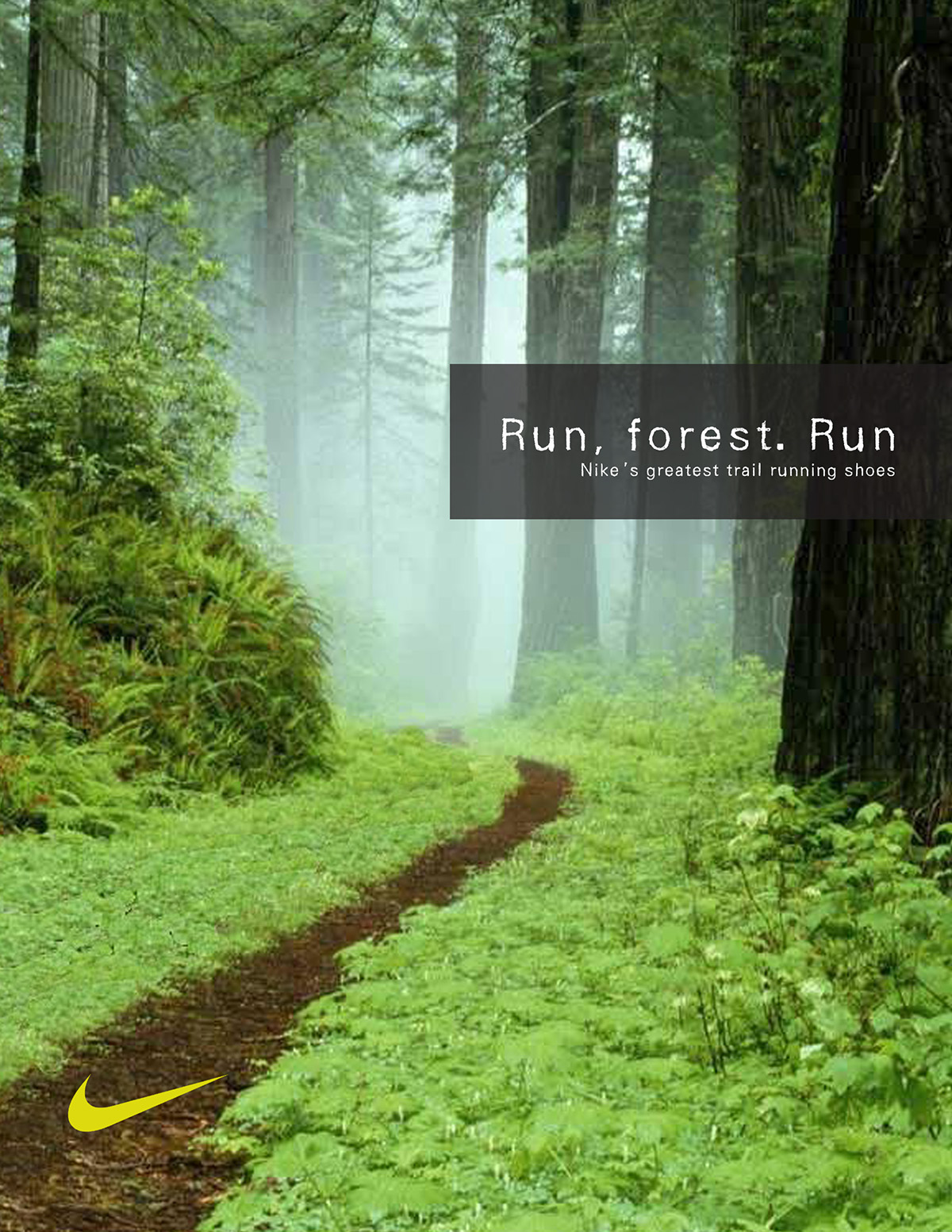 Nike  SHOE outdoors running jogging trail woods trail running shoes shoe