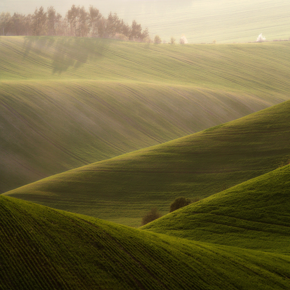 fields countryside Czech Republic Moravia Landscape green