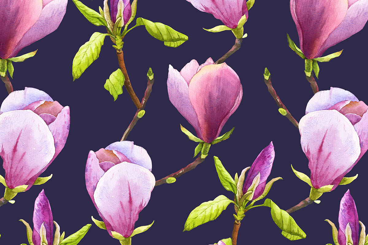 botanical art Botanical garden fabric design floral pattern Flowers magnolia magnolia flower purple springtime watercolor illistration