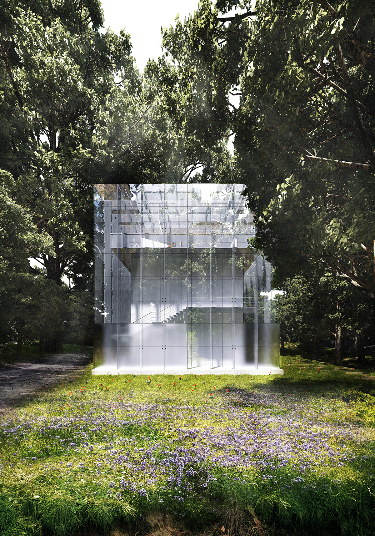 3D  Visualisation forest contemporary