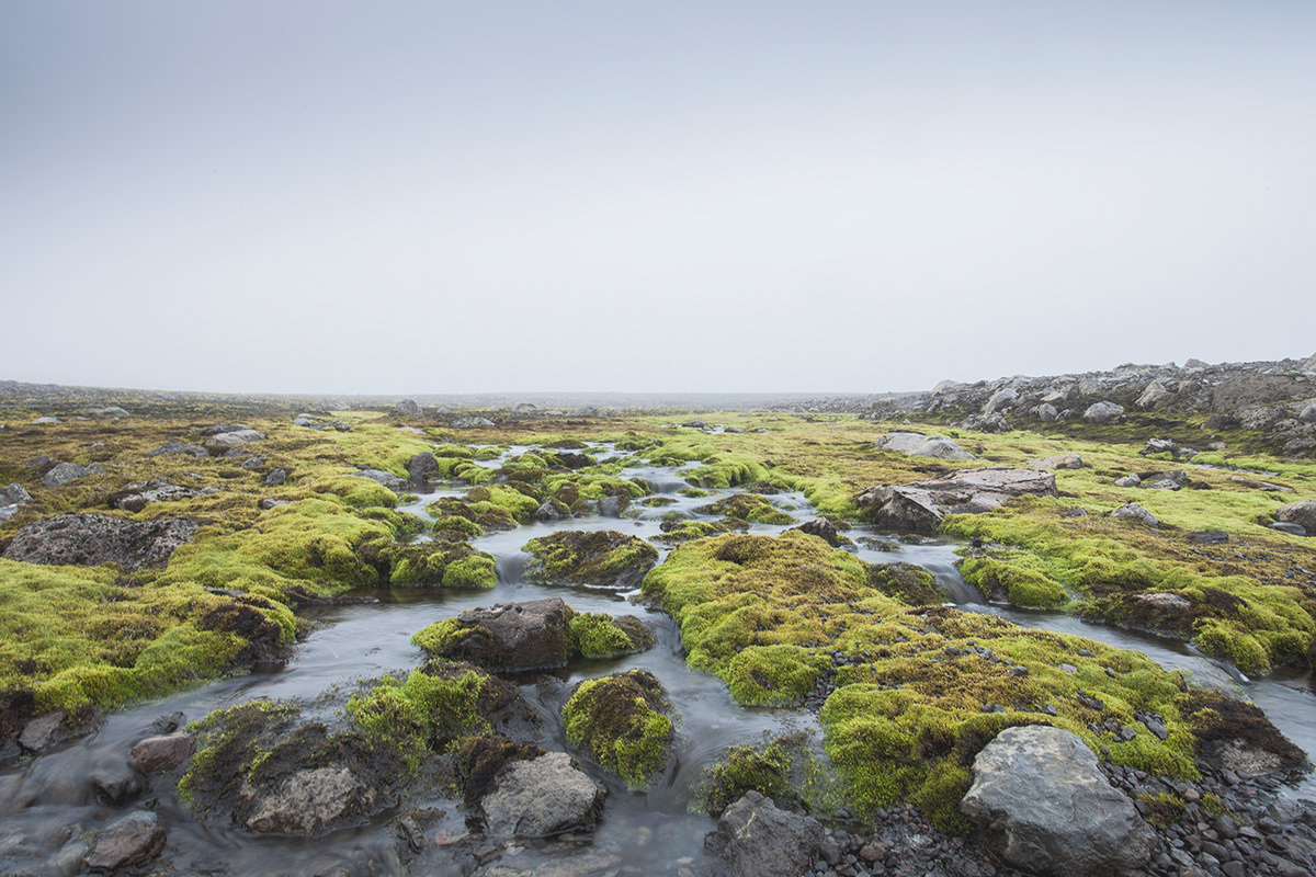 sand iceland plain ruff moss white sky green gray rocks vater color contrast water east gislidua