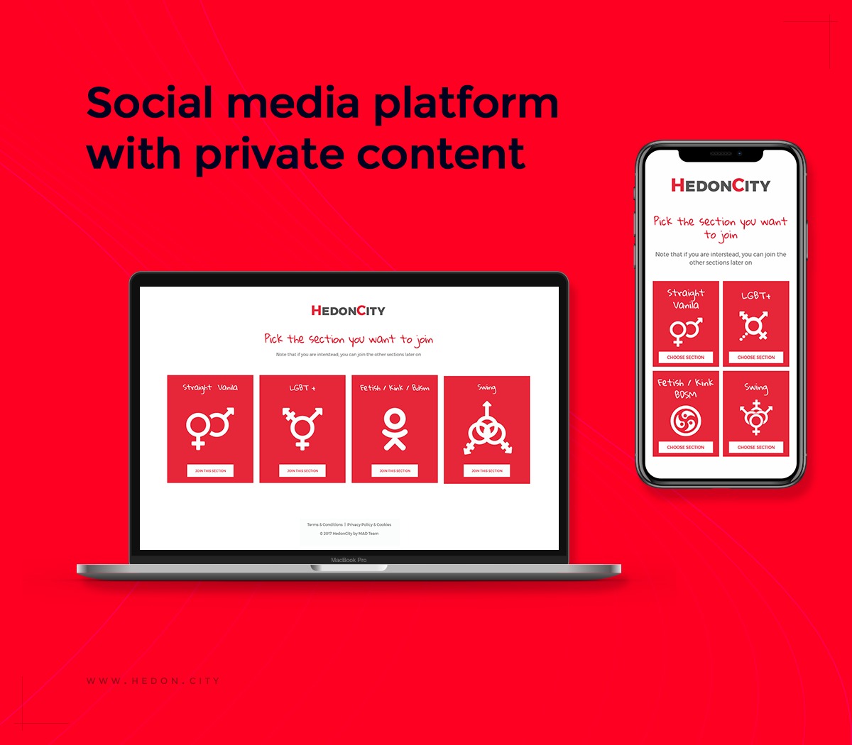 social networks platforms user interface platforms web design platforms graphic design 
