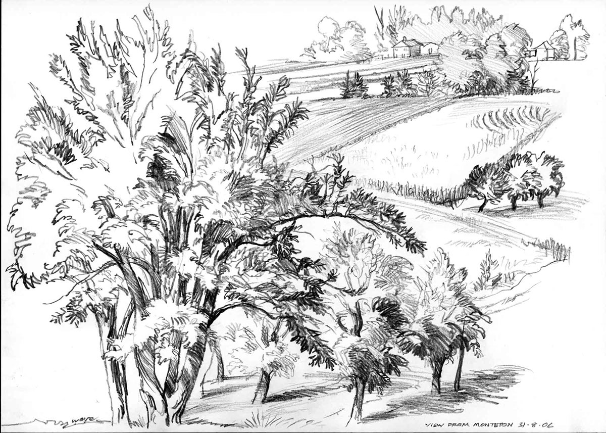 Pencil sketch of trees at Monteton, South West France
