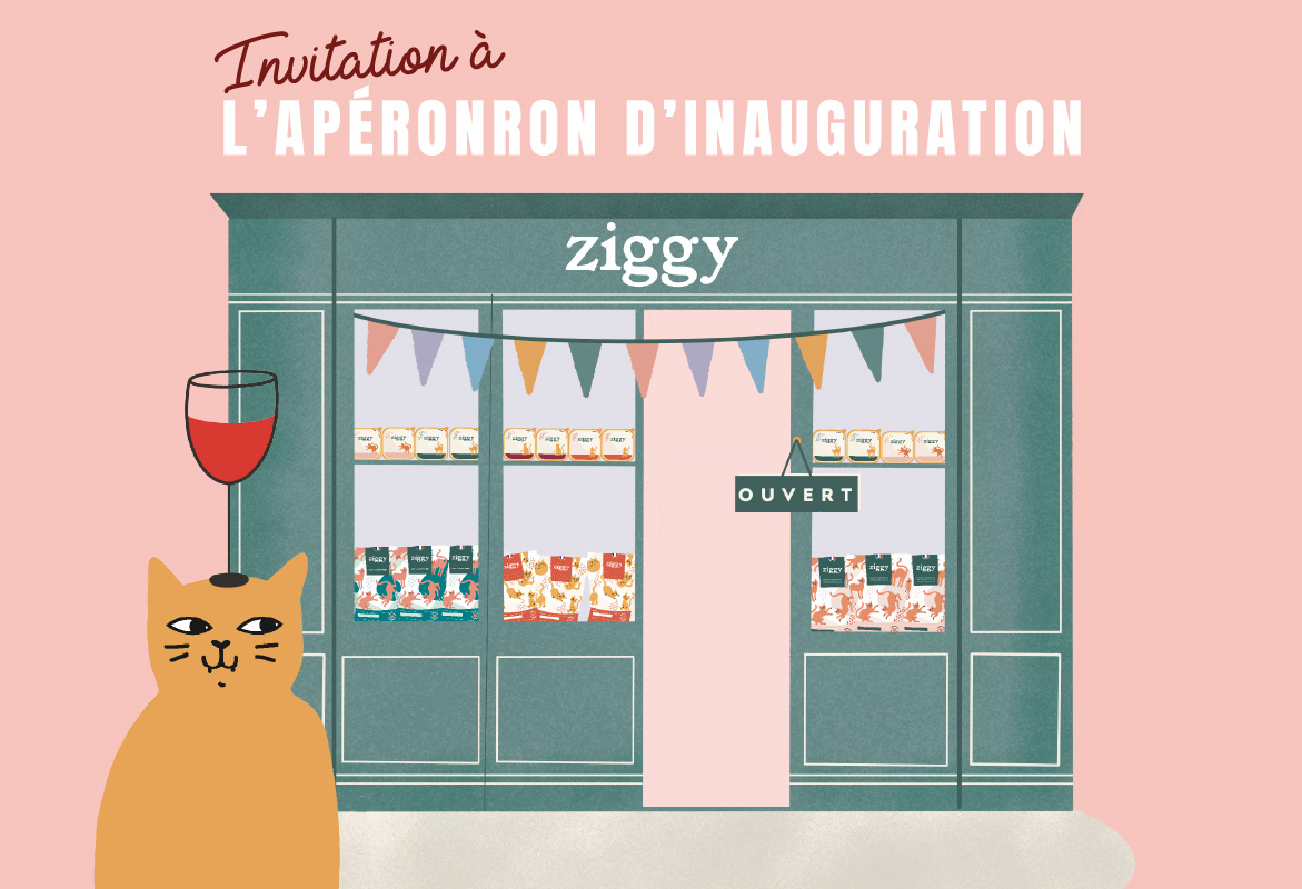 ziggy camille courrié poster graphic design  pop up direction artistique cats ILLUSTRATION  mise en page boutique ziggy