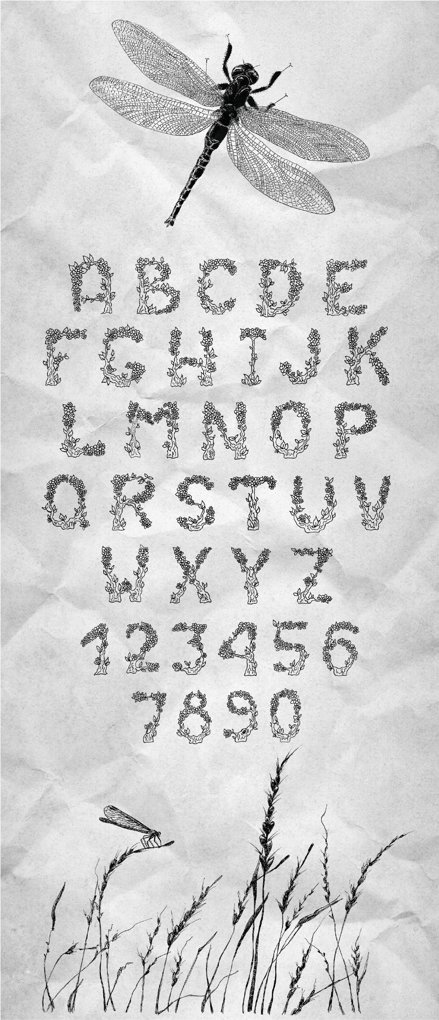 Nature алфавит   Drawing  font