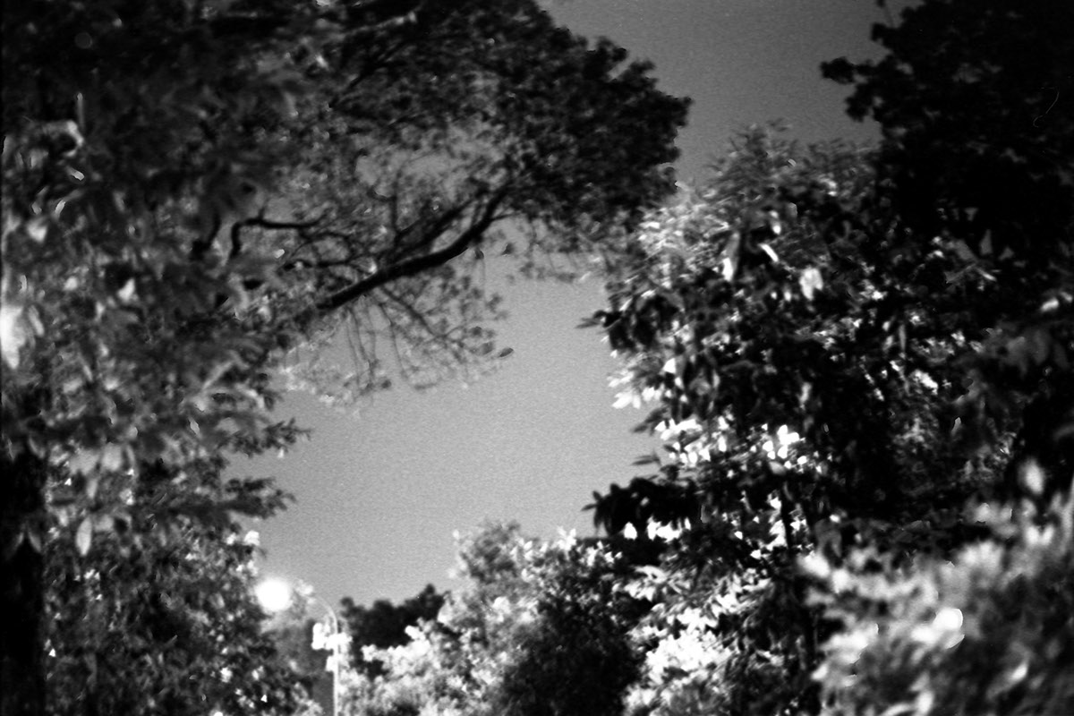 black and white b&w black and White film photography daily Routine Love family friends sceneries neighborhood town singapore