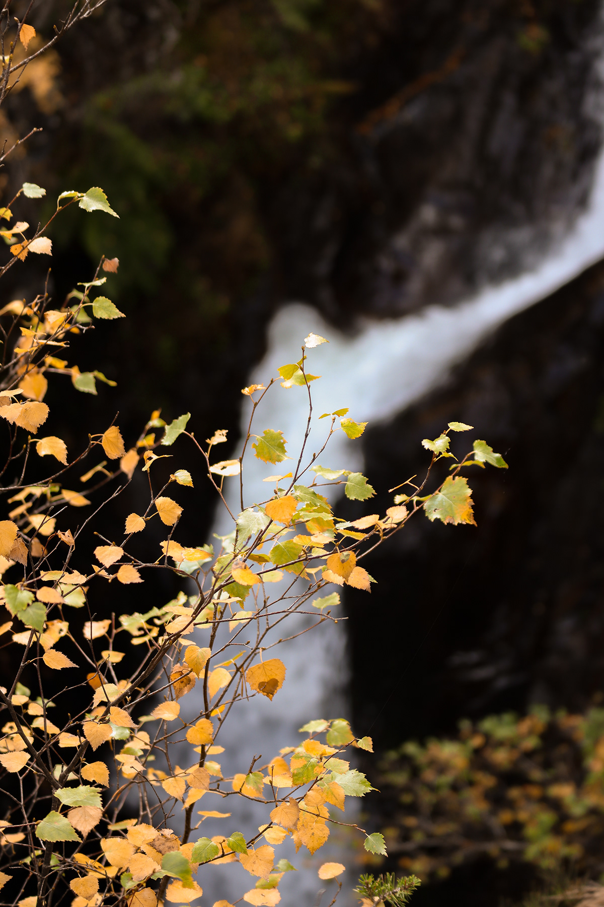 autumn landscape photography catalunya pirineos Nature Waterfalls autumn colors autumn leaves Fall pyrenees