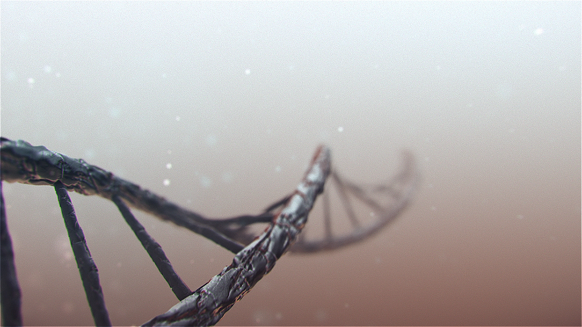 bio blood Cell chromosome DNA DNK evolution human loop medicine