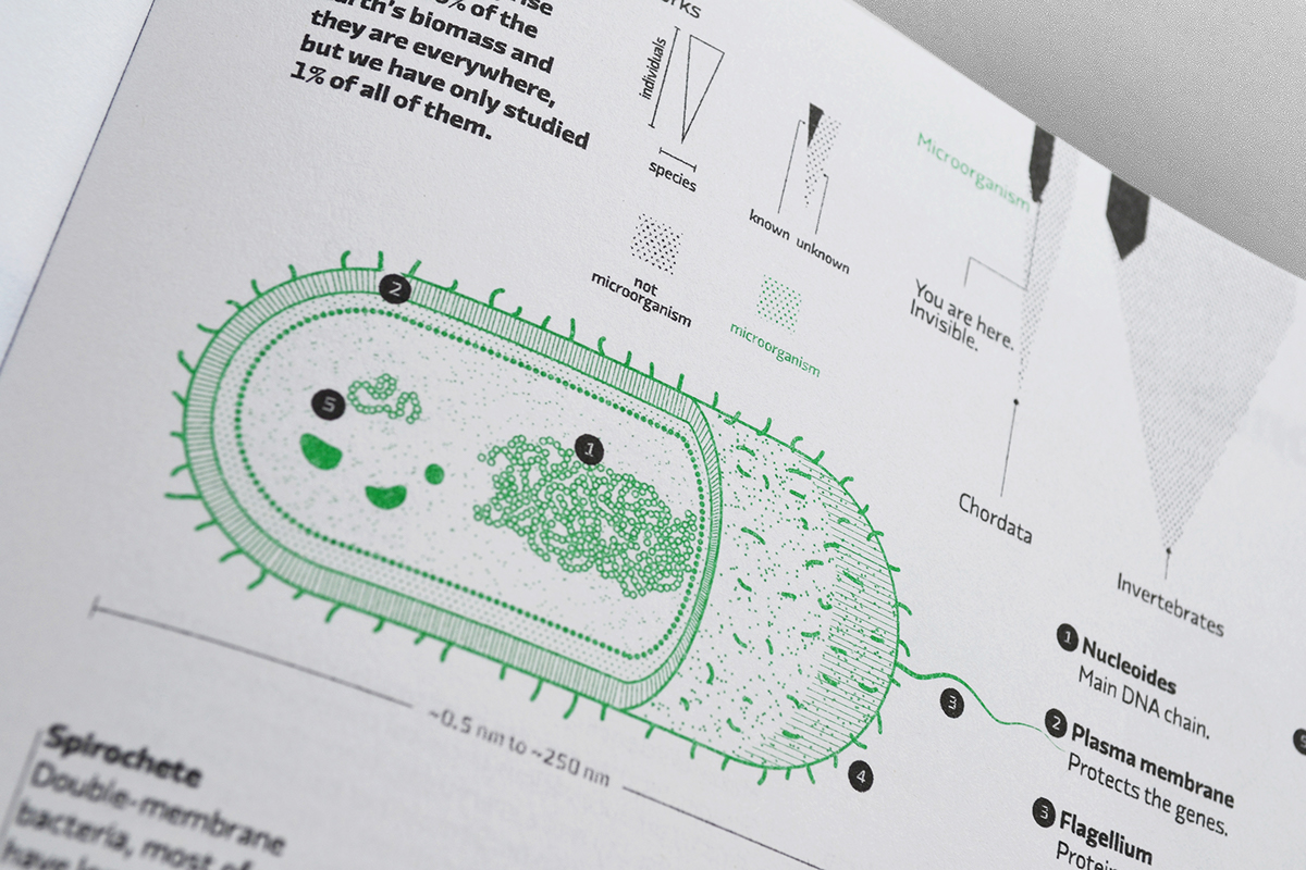 #atlas #technology #graphicDesign #illustration #datavisualization #data #biology #microbiology #networks