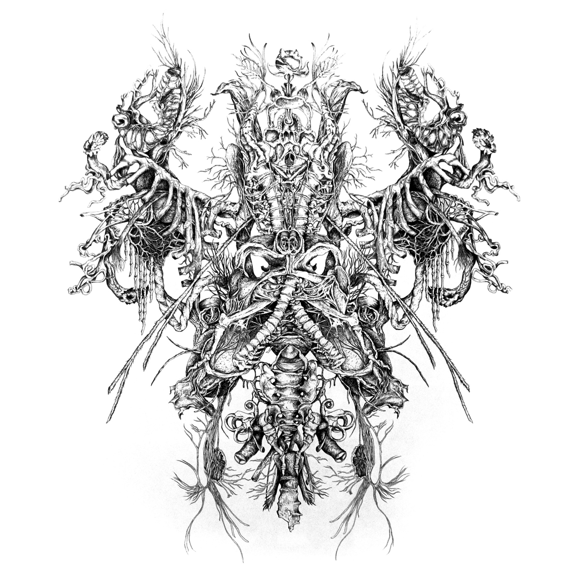 grotesque decorative motif excess symmetry anatomy