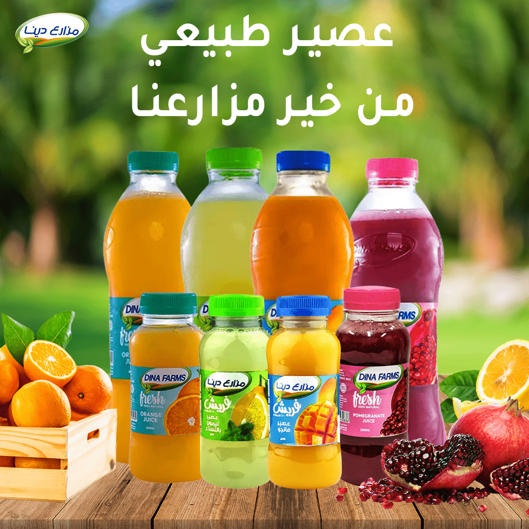 Advertising  chocolate Dina Farms fresh Fresh Juice Fruit juice juicy Mango orange