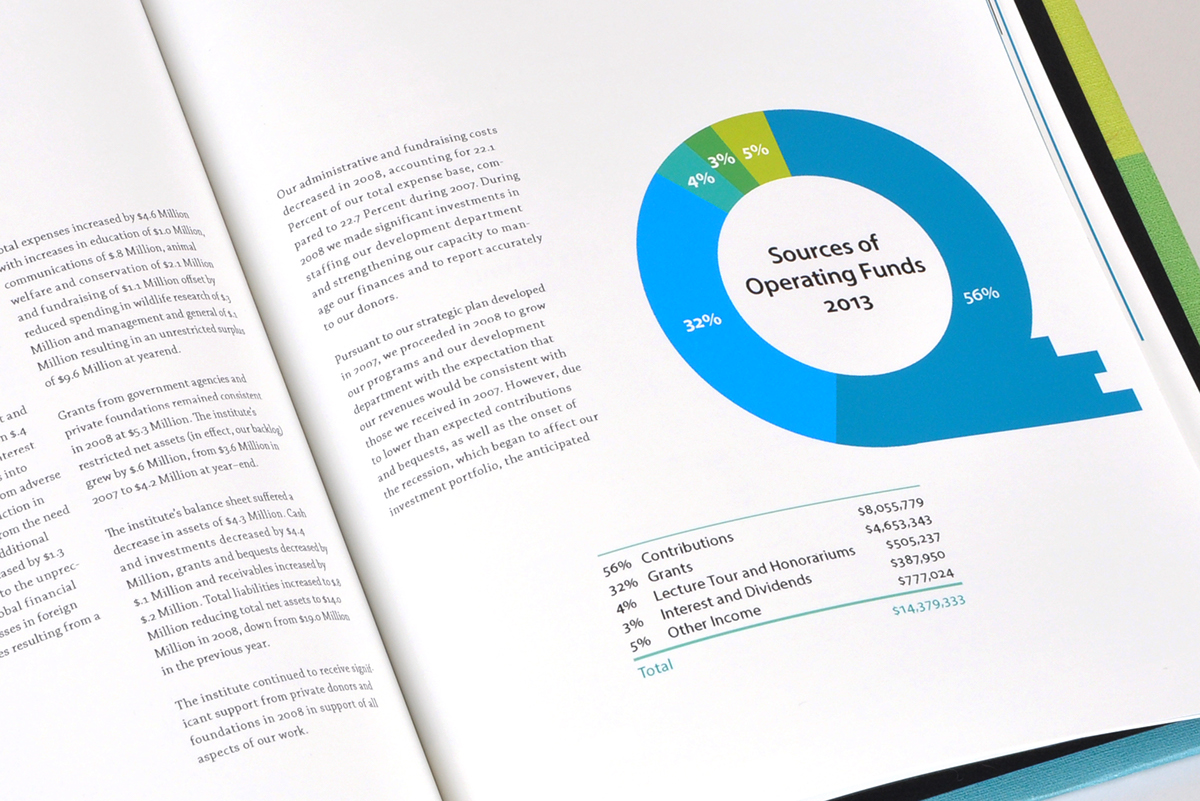 annual report Layout type setting color interactive