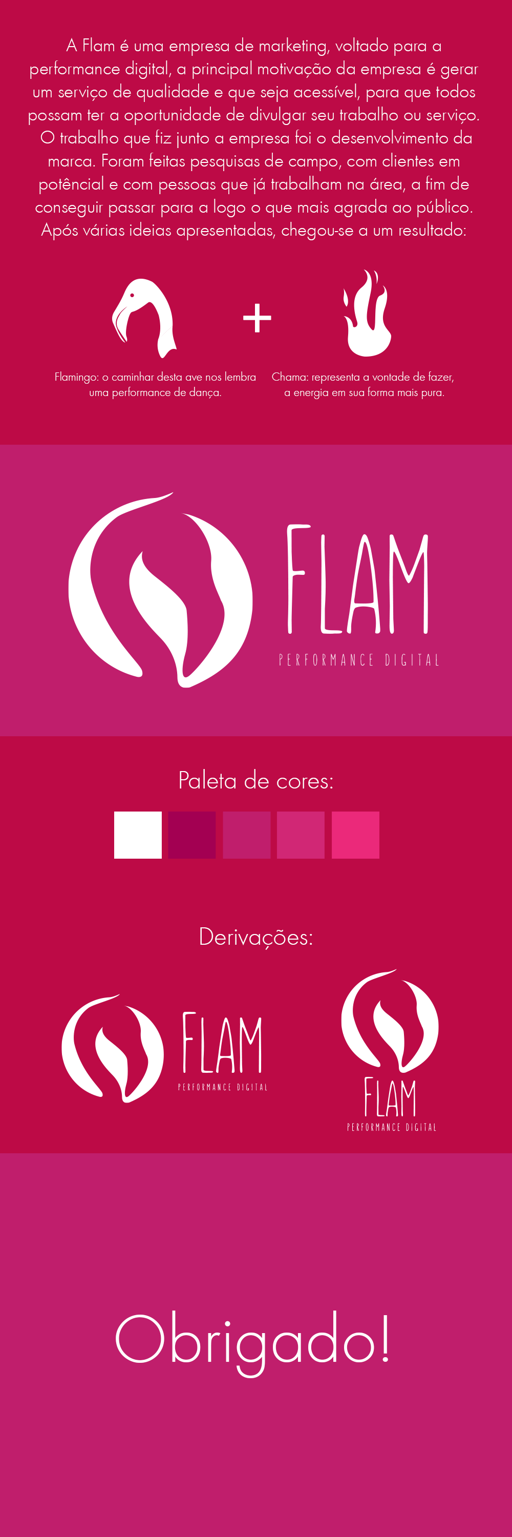 logo marketing   digital flamingo Chama fogo fire animal pink