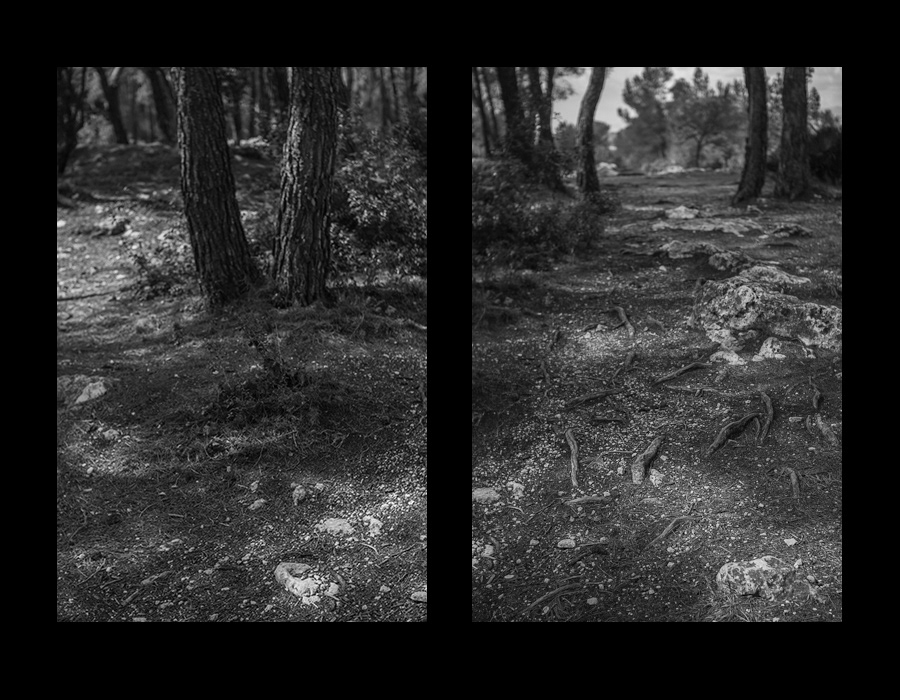 Landscape environtment Pla dels Albats place black and white tomb medieval hermitage forest book